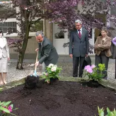 "Upiększanie" patia w budynku przy ul. Kładki 24 w Gdańsku (22.05.2009)