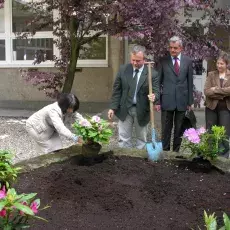 "Upiększanie" patia w budynku przy ul. Kładki 24 w Gdańsku (22.05.2009)
