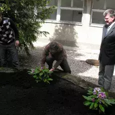 "Upiększanie" patia w budynku przy ul. Kładki 24 w Gdańsku (22.05.2009)