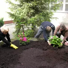 "Upiększanie" patia w budynku przy ul. Kładki 24 w Gdańsku (22.05.2009)