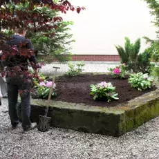 "Upiększanie" patia w budynku przy ul. Kładki 24 w Gdańsku (22.05.2009)