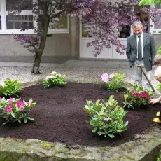 "Upiększanie" patia w budynku przy ul. Kładki 24 w Gdańsku (22.05.2009)