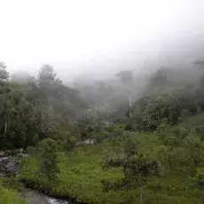 El Queremal