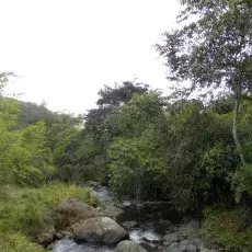 El Queremal