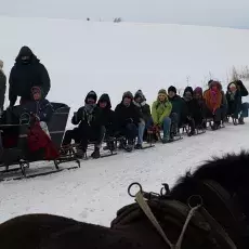 Zimowy kulig (17.01.2010)