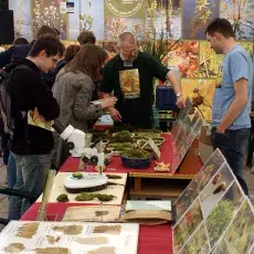 VIII Bałtycki Festiwal Nauki - Gdynia, Skwer Kościuszki (29.05.2010)