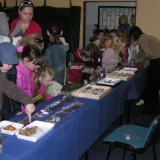 VIII Bałtycki Festiwal Nauki - budynek przy ulicy Kładki w Gdańsku (28.05.2010)
