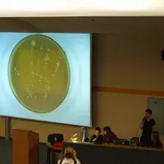 Przed umyciem rąk