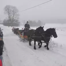 Zimowy kulig 2011 (08.01.2011)
