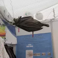 Dzień drugi
