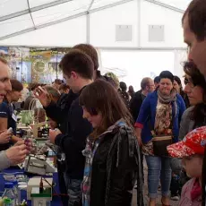 IX Bałtycki Festiwal Nauki (25-29.05.2011)