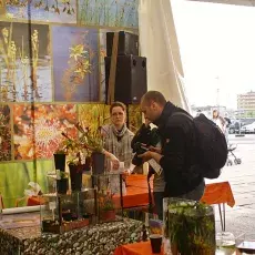 IX Bałtycki Festiwal Nauki (25-29.05.2011)