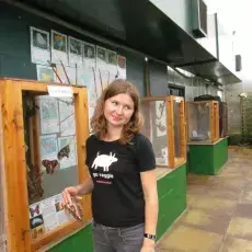 Niektóre ćmy trzyma się w klatkach, aby je rozmnożyć. Wystarczą jednak dwie, trzy pary, aby podtrzymać hodowlę, resztę wypuszcza się więc do głównego "flight area". Motyle i ćmy trzyma się dwoma palcami, składając im skrzydła w taki sposób, aby ich nie uszkodzić i nie zetrzeć z nich drobnych łusek