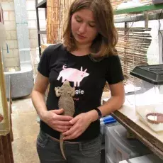 Agama brodata, która jest bardzo przyjacielską jaszczurką, domagała się wyciągnięcia z terrarium, gdy tylko ktoś obok niego przechodził. W związku z tym zabierana była na liczne spacery i obficie karmiona.