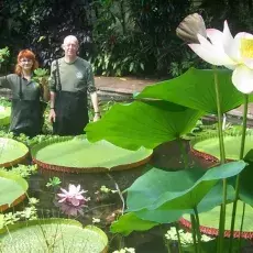 Joanna Drozdowska na letniej praktyce Erasmusa w Królewskim Ogrodzie Botanicznym w Edynburgu (lato 2011)