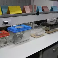 Noc Biologów (13.01.2012)