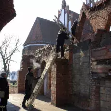 Akcja liczenia nietoperzy (01-02.2012)