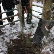 Akcja liczenia nietoperzy (01-02.2012)