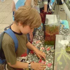 "Littorella" w akcji (22.05.2012)