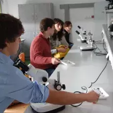Warsztaty laboratoryjne pt. "Owady w kryminalistyce", prowadząca: dr Elżbieta Kaczorowska (Katedra Zoologii Bezkręgowców i Parazytologii)
