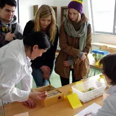 Targi Akademia 2013 (19-20.03.2013)