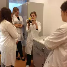 Dzień 2 - "Embriologia eksperymentalna - co można badać i tworzyć w kulturach in vitro organów płciowych roślin", prowadząca: dr Joanna Rojek (Katedra Cytologii i Embriologii Roślin)