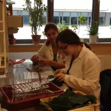 Dzień 3 - "Zielona fabryka - jak roślina produkuje cukier", prowadząca: mgr Kamila Kluczyńska (Katedra Fizjologii i Biotechnologii Roślin)