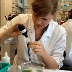 Dzień 3 - "Zielona fabryka - jak roślina produkuje cukier", prowadząca: mgr Kamila Kluczyńska (Katedra Fizjologii i Biotechnologii Roślin)
