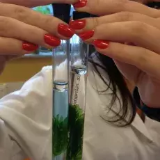 Dzień 3 - "Zielona fabryka - jak roślina produkuje cukier", prowadząca: mgr Kamila Kluczyńska (Katedra Fizjologii i Biotechnologii Roślin)