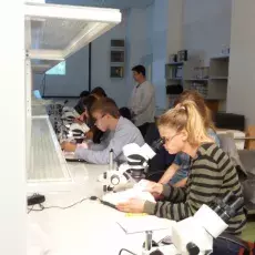 "Owady w kryminalistyce", prowadząca: dr Elżbieta Kaczorowska (Katedra Zoologii Bezkręgowców i Parazytologii)