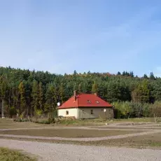 Fragment Leśnego Ogrodu Botanicznego w Marszewie z założonymi kolekcjami roślin leczniczych i jadalnych
