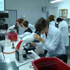 17.11.2010 - dr Beata Furmanek-Blaszk z Katedry Mikrobiologii prowadzi zajęcia dla uczniów XIV LO w Gdyni pt. "Barwienie i obserwacja preparatów komórek bakteryjnych"