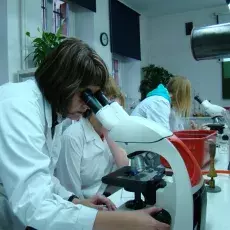 17.11.2010 - dr Beata Furmanek-Blaszk z Katedry Mikrobiologii prowadzi zajęcia dla uczniów XIV LO w Gdyni pt. "Barwienie i obserwacja preparatów komórek bakteryjnych"