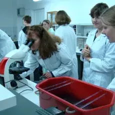 17.11.2010 - dr Beata Furmanek-Blaszk z Katedry Mikrobiologii prowadzi zajęcia dla uczniów XIV LO w Gdyni pt. "Barwienie i obserwacja preparatów komórek bakteryjnych"