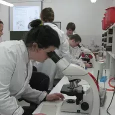 08.02.2011 - dr Iwona Mruk z Katedry Mikrobiologii prowadzi zajęcia pt. "Barwienie i obserwacja preparatów komórek bakteryjnych" dla uczniów IV LO w Gdyni