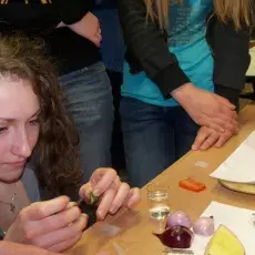 18.02.2011 - mgr Małgorzata Ignatowska z Katedry Cytologii i Embriologii Roślin prowadzi zajęcia pt. "Obserwacja mikroskopowa składników komórki roślinnej" dla uczniów XV LO w Gdańsku