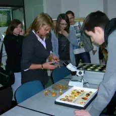 01.03.2011 - dr Elżbieta Sontag z Katedry Zoologii Bezkręgowców prowadzi zajęcia pt. "Co się kryje w bursztynie" dla uczniów V LO w Gdyni