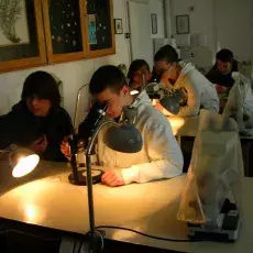 01.03.2011 - dr Elżbieta Sontag z Katedry Zoologii Bezkręgowców prowadzi zajęcia pt. "Co się kryje w bursztynie" dla uczniów V LO w Gdyni