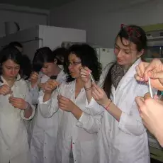 08.03.2011 - dr Anna Pędziszewska i mgr Marcelina Zimny z Katedry Ekologii Roślin prowadzą zajęcia pt. " Melisopalinologia - czyli co kryją miody " dla uczniów III LO w Gdańsku