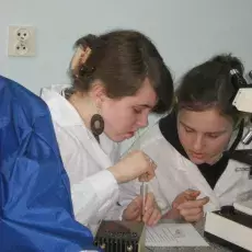 08.03.2011 - dr Anna Pędziszewska i mgr Marcelina Zimny z Katedry Ekologii Roślin prowadzą zajęcia pt. " Melisopalinologia - czyli co kryją miody " dla uczniów III LO w Gdańsku