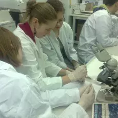 11.03.2011 - dr Dorota Myślińska z Katedry Fizjologii Zwierząt prowadzi zajęcia pt. "Co w głowie piszczy - mózg pod lupą i mikroskopem" dla uczniów Gdańskiego Liceum Autonomicznego