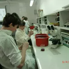 05.04.2011 - dr Iwona Mruk z Katedry Mikrobiologii prowadzi zajęcia pt. "Barwienie i obserwacja preparatów komórek bakteryjnych" dla uczniów II LO w Gdyni