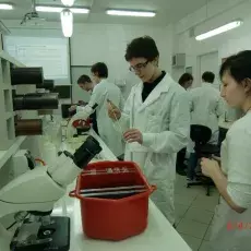 05.04.2011 - dr Iwona Mruk z Katedry Mikrobiologii prowadzi zajęcia pt. "Barwienie i obserwacja preparatów komórek bakteryjnych" dla uczniów II LO w Gdyni