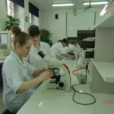 05.04.2011 - dr Iwona Mruk z Katedry Mikrobiologii prowadzi zajęcia pt. "Barwienie i obserwacja preparatów komórek bakteryjnych" dla uczniów II LO w Gdyni