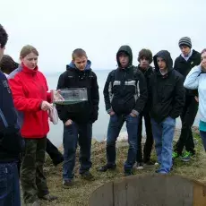 12.04.2011 - mgr Brygida Manikowska ze Stacji Badania Wędrówek Ptaków prowadzi zajęcia pt. "Tam i z powrotem do ziemi przodków czyli migracje ptaków" dla uczniów V LO w Gdyni