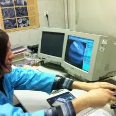 25.10.2011 - dr Agnieszka Kowalkowska z Katedry Cytologii i Embriologii Roślin prowadzi zajęcia pt. "Odkrywanie tajemnic orchidei" dla uczniów Sopockich Szkół Autonomicznych