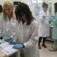 08.11.2011 - dr Anna Wysocka oraz mgr Lidia Łukaszewska z Katedry Genetyki prowadzą zajęcia pt. " Bliskie spotkania z cząsteczką życia - izolacja DNA " dla uczniów IV LO w Gdyni