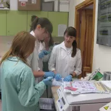 08.11.2011 - dr Anna Wysocka oraz mgr Lidia Łukaszewska z Katedry Genetyki prowadzą zajęcia pt. " Bliskie spotkania z cząsteczką życia - izolacja DNA " dla uczniów IV LO w Gdyni