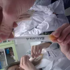 24.11.2011 - dr Anna Pędziszewska oraz mgr Marcelina Zimny z Katedry Ekologii Roślin prowadzą zajęcia pt. "Melisopalinologia - czyli co kryją miody" dla uczniów IX LO w Gdańsku