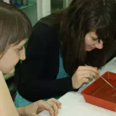 06.12.2011 - dr Dorota Myślińska z Katedry Fizjologii Zwierząt prowadzi zajęcia pt. "Co w głowie piszczy - mózg pod lupą i mikroskopem" dla uczniów I LO w Nowym Dworze Gdańskim